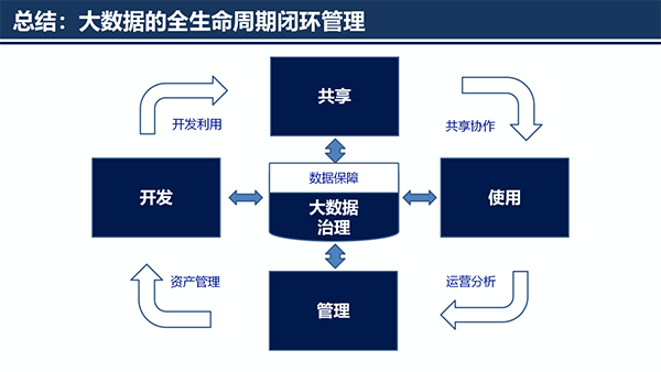 大數(shù)據(jù)治理平臺(tái)應(yīng)用解決方案